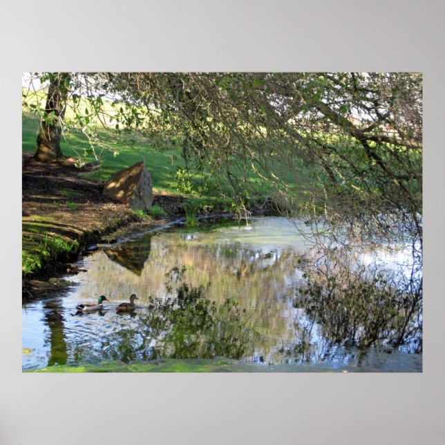 ‚Nesting Encks‘ Poster (Vorne)