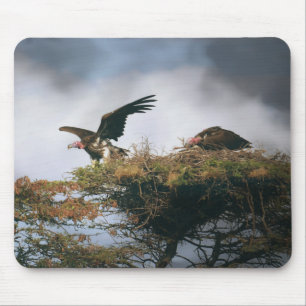 Nesting Vultures Mousepad