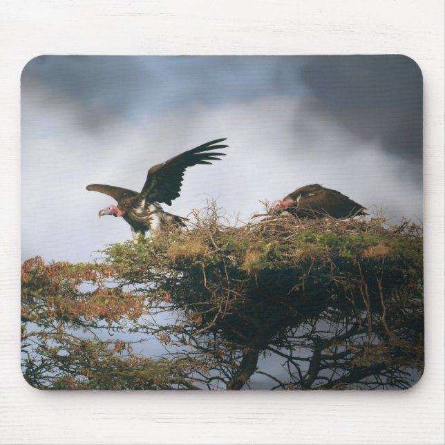 Nesting Vultures Mousepad (Vorne)