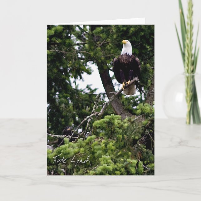 Nestlingkarte Karte (Vorderseite)