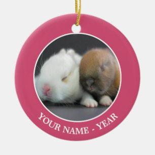 Netherland zwergartige Kaninchen Keramik Ornament