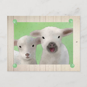 nette Weidelämmer Postkarte