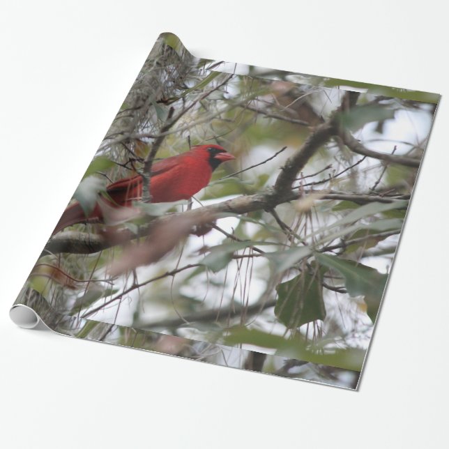 Nettes Kardinals-Foto Geschenkpapier (Ungerollt)