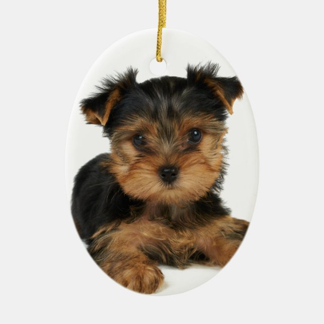 Nettes yorkie keramik ornament (Vorne)
