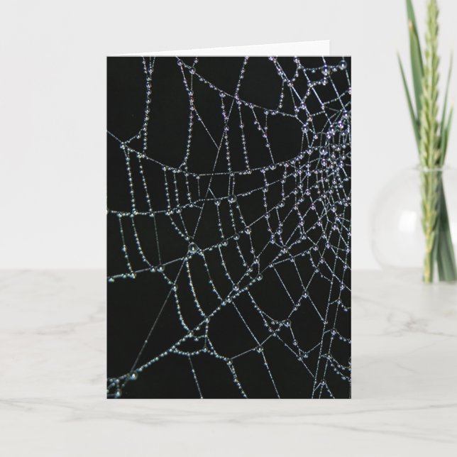 Netz-Wunder Karte (Vorderseite)