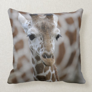 Netzgiraffe, Giraffa camelopardalis reticulata Kissen