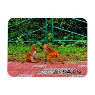 Neu-Delhi, Indien Magnet