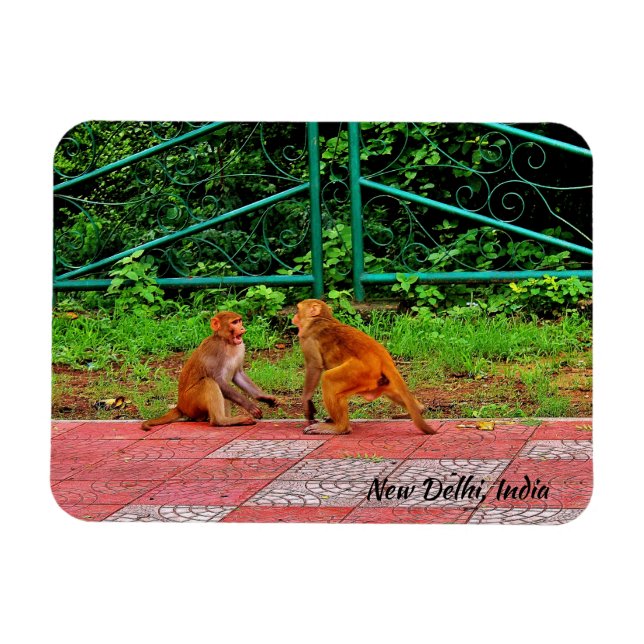 Neu-Delhi, Indien Magnet (Horizontal)