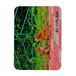 Neu-Delhi, Indien Magnet