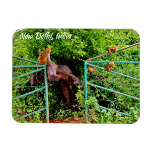Neu-Delhi, Indien Magnet