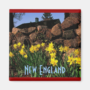 Neu-England Magnet