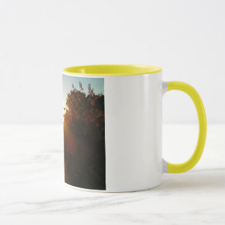 Neu-England Sonnenaufgang-Tasse Tasse