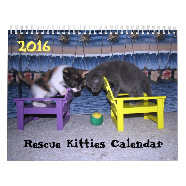 *****NEU für 2016!!! **** Kätzchen Kalender (Titelbild)