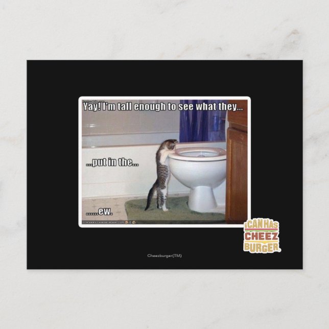 neu postkarte (Vorderseite)