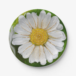 Neuanfang - Daisy Blume Power Pappteller