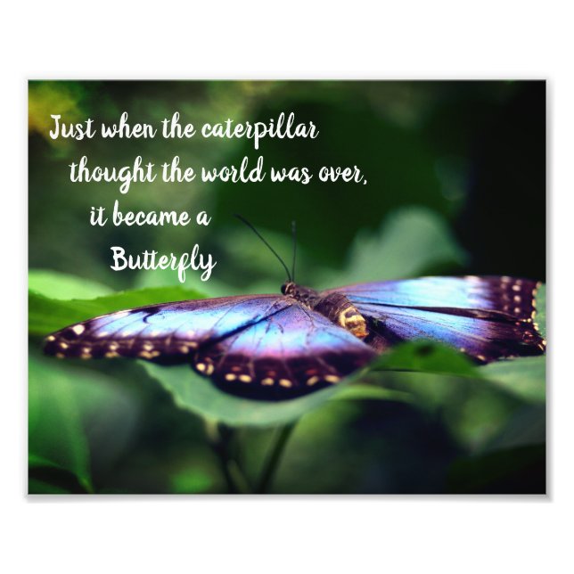 Neuanfang Schmetterling Inspiration Zitat 8x10 Fotodruck (Vorne)