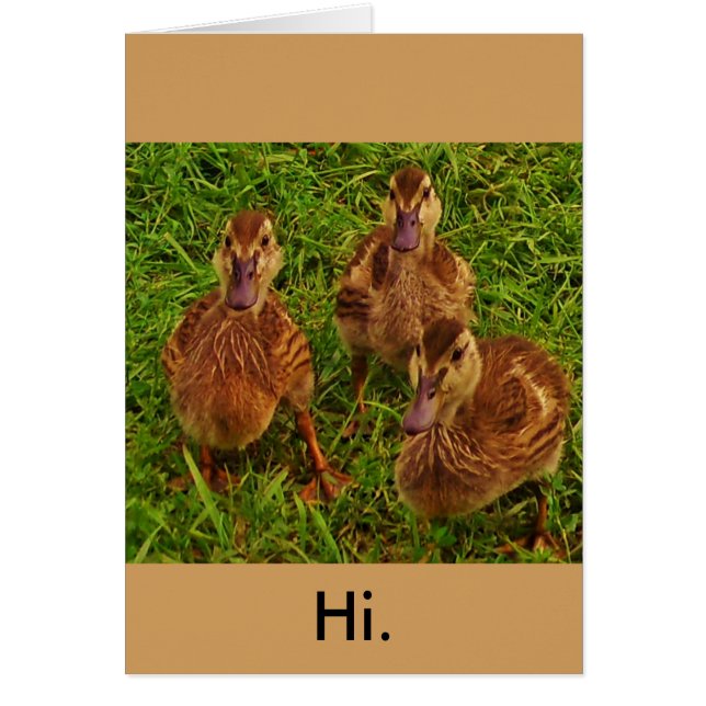 Neuartige Ducks (Vorne)