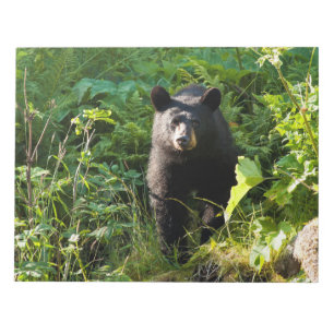Neuartiger Schwarzbär Notizblock