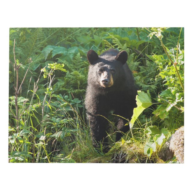 Neuartiger Schwarzbär Notizblock (Vorderseite)