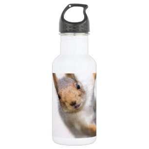 Neuartiges Eichhörnchen Trinkflasche