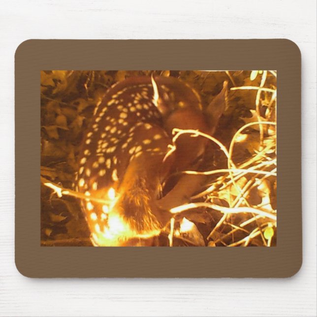 Neuborn Fond Mousepad (Vorne)