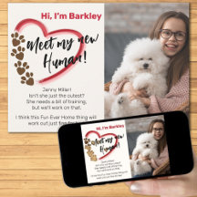 Neue Adoption für Haustiere