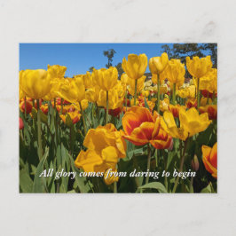 Neue Anfänge Frühlinggelbe Tulip-Blume Postkarte
