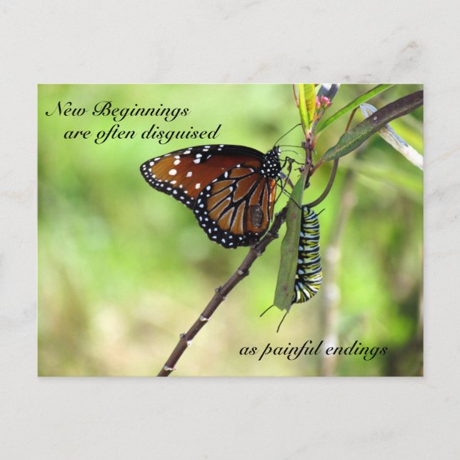 Neue Anfänge Postkarte (Vorderseite)