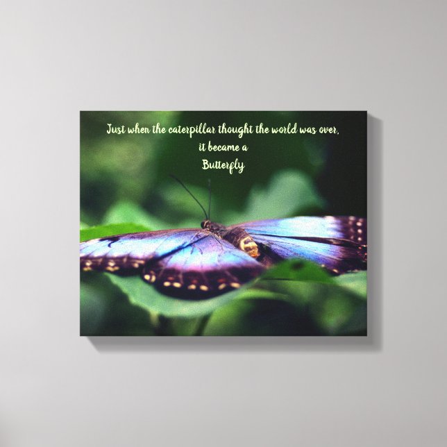 Neue Anfänge Schmetterling Inspiration Zitat Leinwanddruck (Vorderseite)