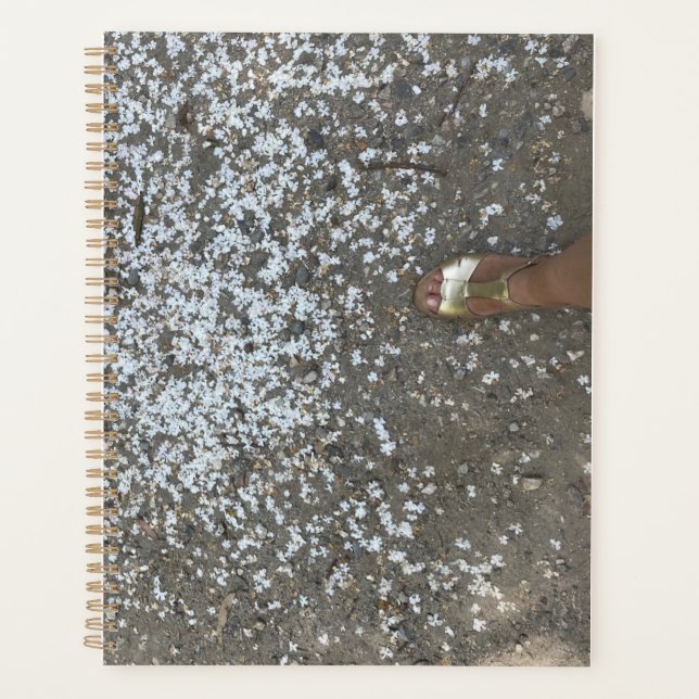 Neue Anfänge und Erste Schritte Planer (Vorderseite)