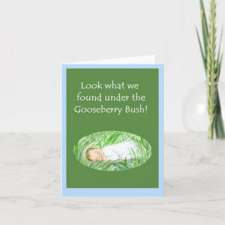 Neue Baby Boy Announcement Card - Gooseberry Bush Ankündigung