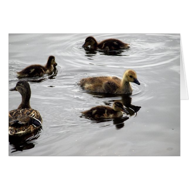 Neue Familie (Vorderseite (Horizontal))