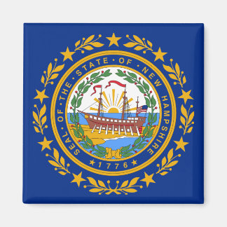 Neue Flagge des Staates Hampshire Magnet