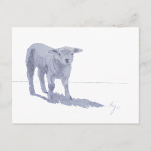 Neue geborene Lamm-Bleistiftskizze Postkarte