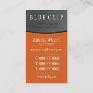 NEUE GESCHÄFTSKARTE: Silver Panel 7P Visitenkarte