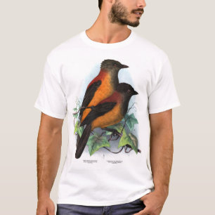 Neue Guinea: Zwei Pitohui-Arten T-Shirt