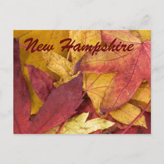 Neue Hampshire Herbst Blätter Postkarte