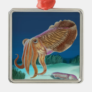 Neue HampshireCuttlefish Szene Silbernes Ornament