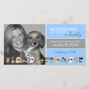 Neue HundeAdoptions-Mitteilung Ankündigung