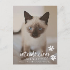 Neue Kätzchen- oder Katzen-Ankündigungskarte Postkarte