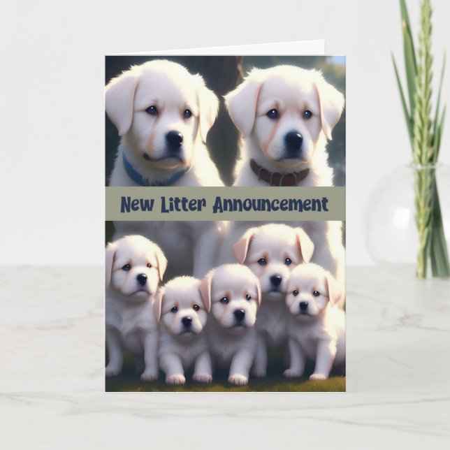 Neue Litterankündigung Weiße Hunde Dankeskarte (Vorderseite)