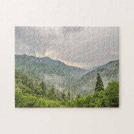 Neue Lücke - Great Smoky Mountains National Park