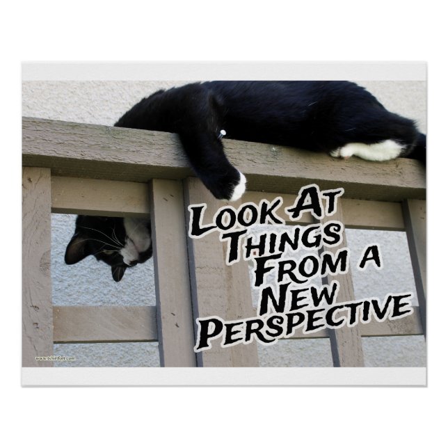 Neue Perspektive zur Motivierung von Cat Foto Art Poster (Vorderseite)