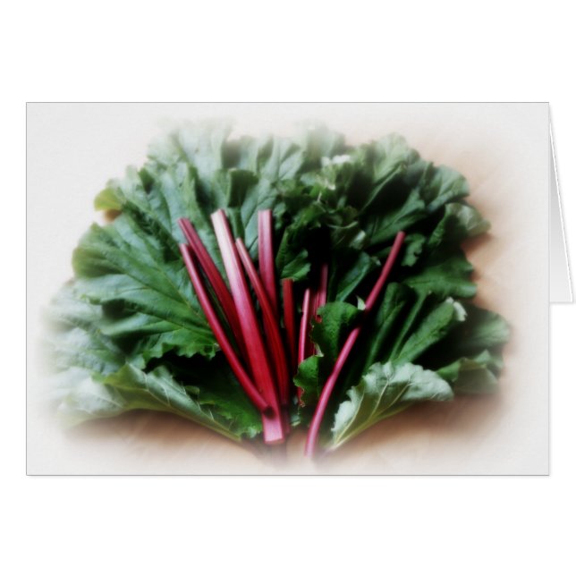 Neue Rhubarb-Stalks und Blätter (Vorderseite (Horizontal))