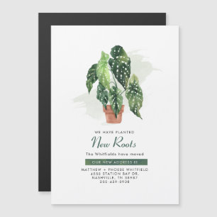 Neue Roots-Änderung der Ankündigung zur Adressumse