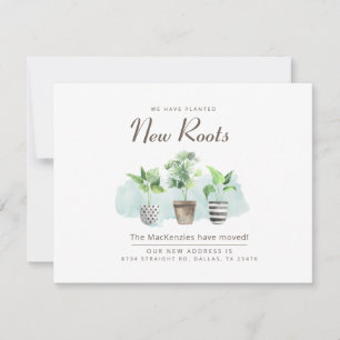 Neue Roots Moving New Address Ankündigung