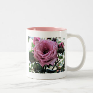 neue Rose Zweifarbige Tasse