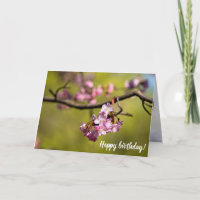 Neue Sakura-Blume gegen den grünen Hintergrund