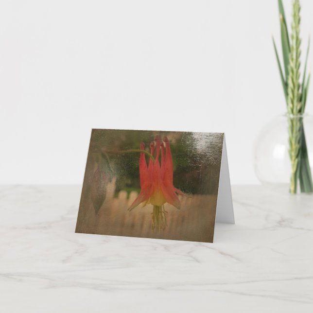 Neue Tagesgärten Notecard KÖNNEN Columbine A Karte (Vorderseite)