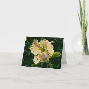 Neue Tagesgärten Notecard Taglilie 'Fast an Angel' Karte